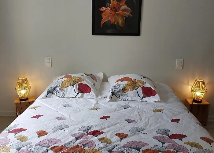 度假居 Le Tisne *